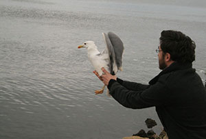 Τελευταία απελευθέρωση για το 2012! Καλό ταξίδι!